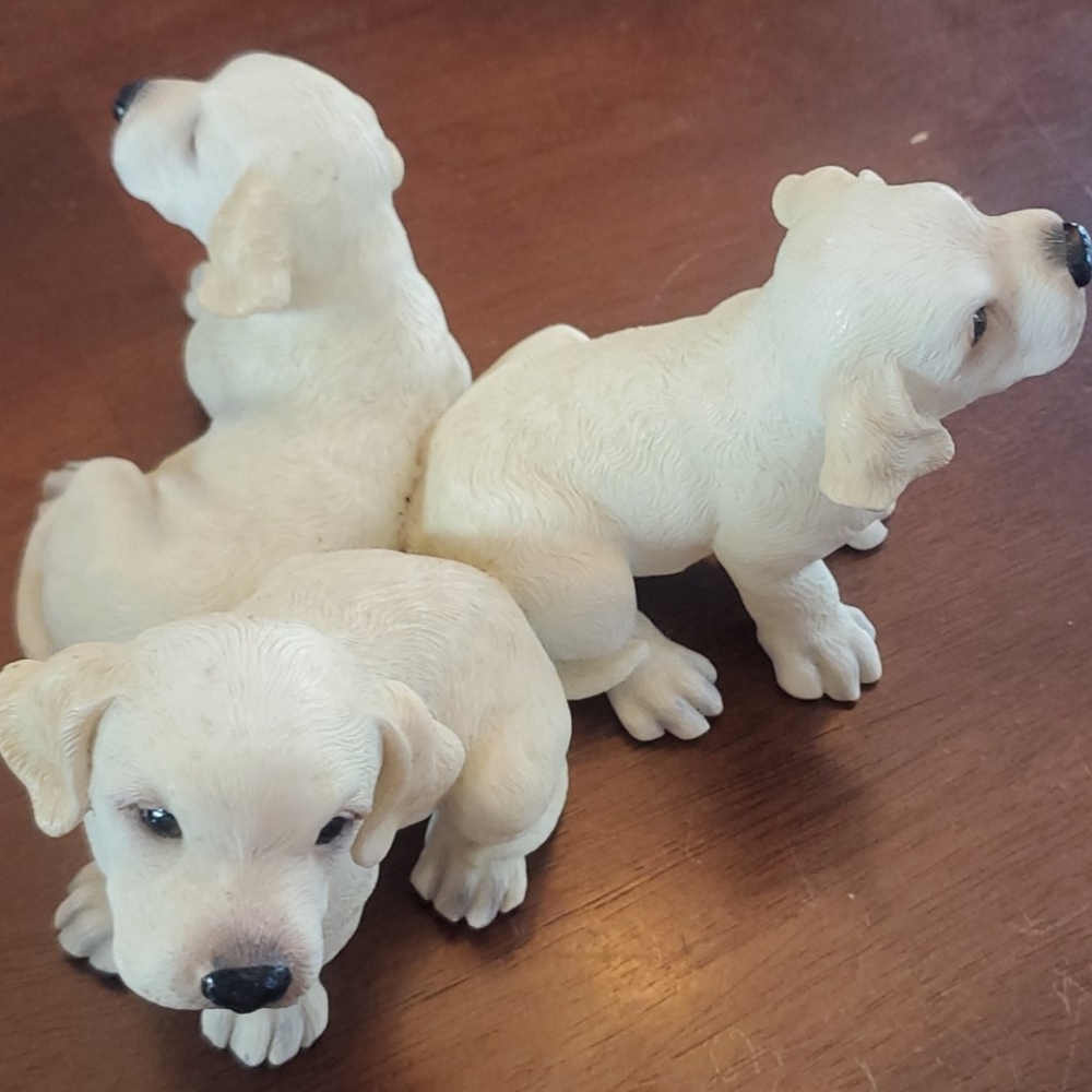 Big sky canine 3 yellow labradors - Picture 2 of 3